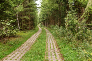 Der ehemalige Kolonnenweg schlängelt sich durch einen dichten Nadelwald im Harz.
