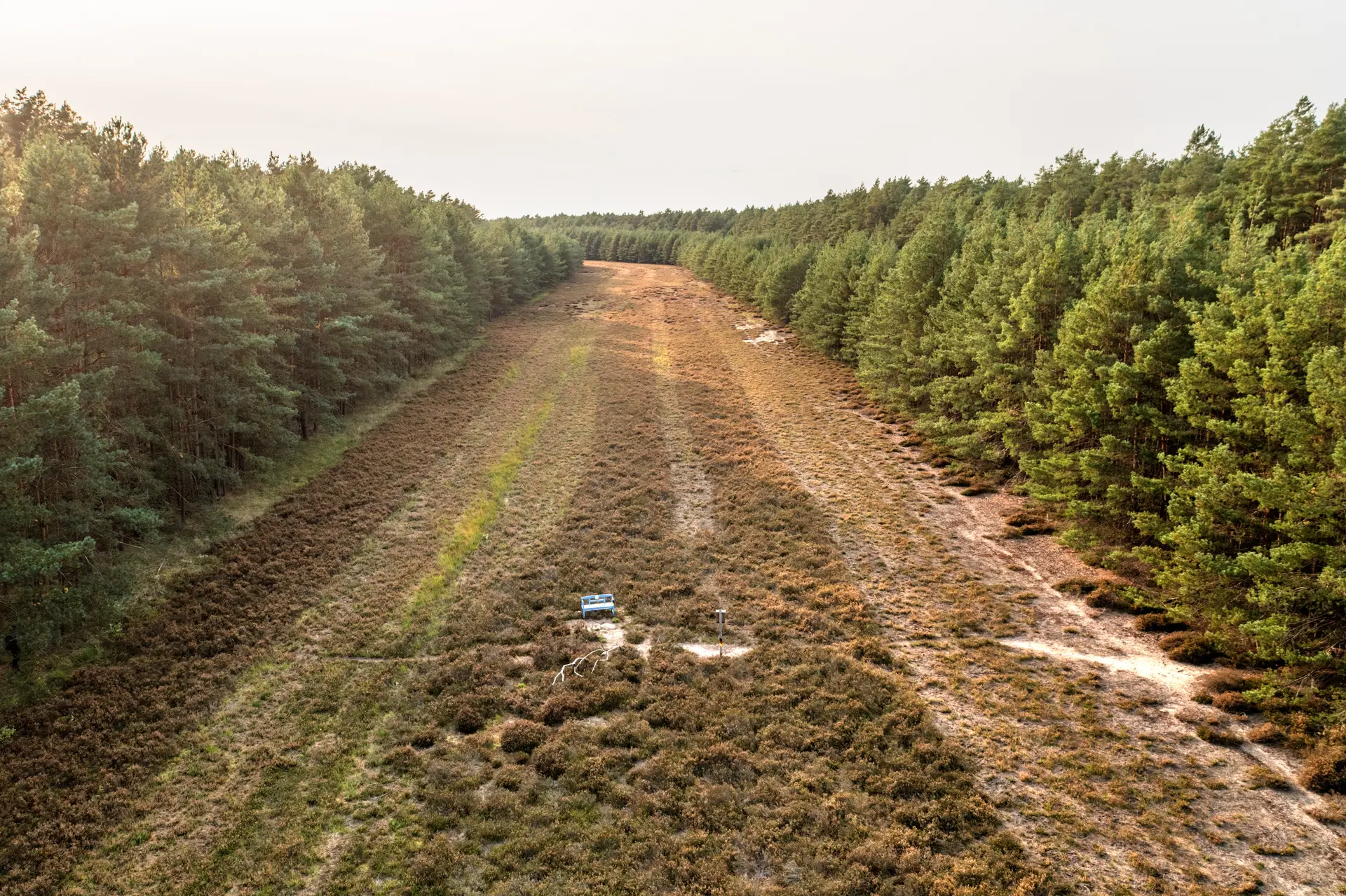 Tagungsband: 7. Fachtagung Management des Nationalen Naturerbes Grünes Band