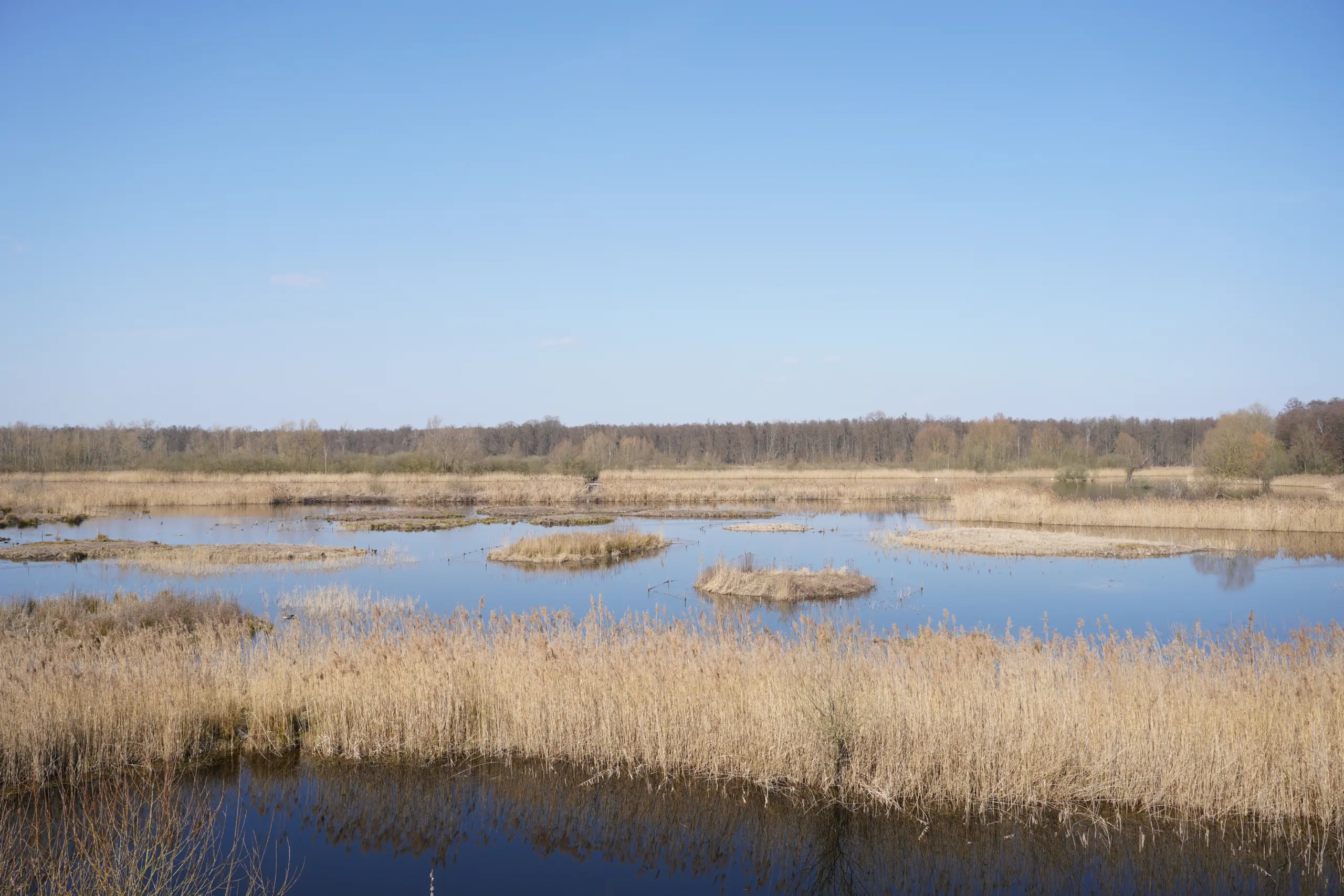 Brietzer Teiche